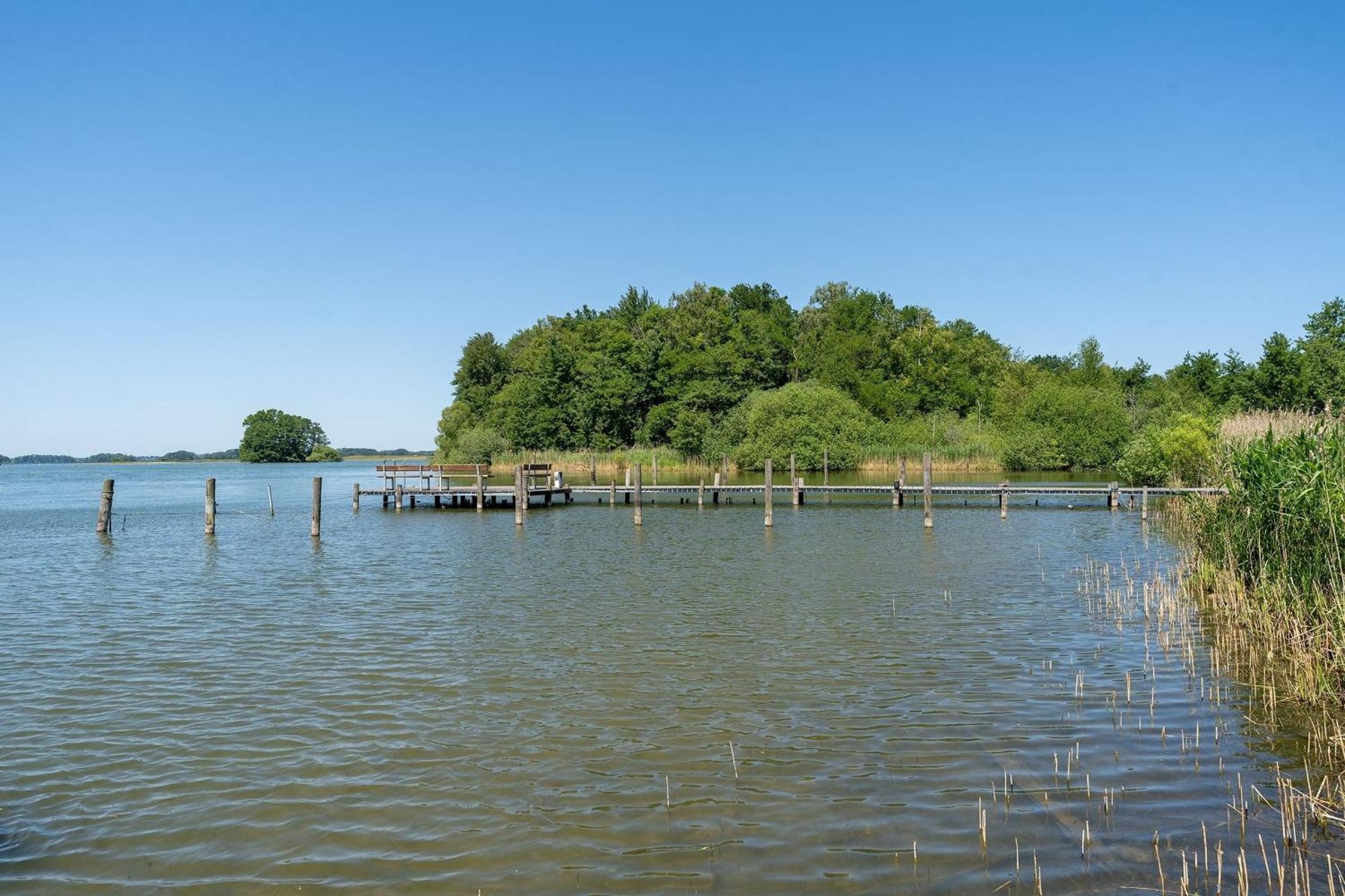 Haus Schwanensee Seeblick Bischofsee Bosau Buitenkant foto